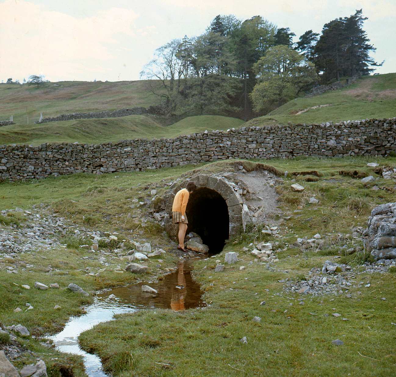 Moulds Old Level Arkengarthdale